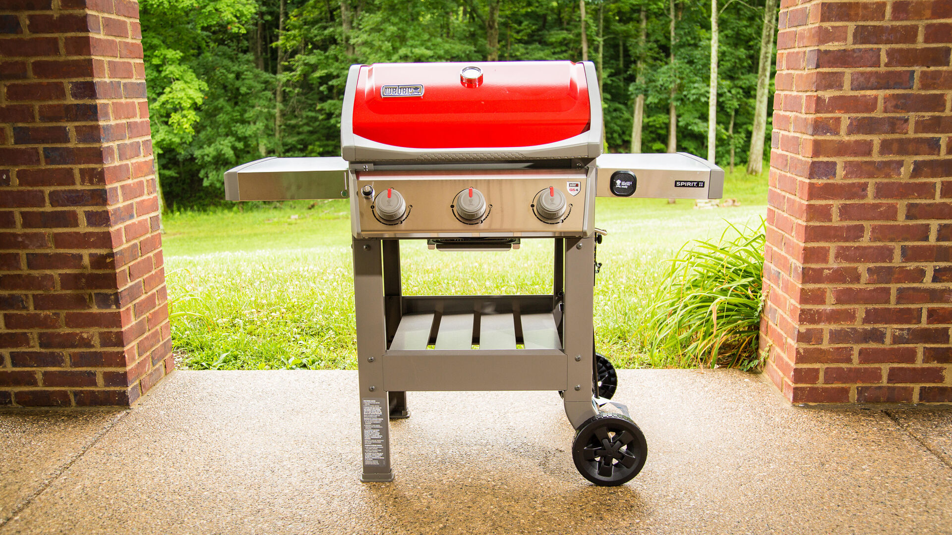 Weber Spirit II E-310